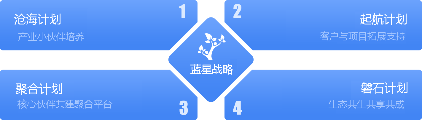 蓝星战略